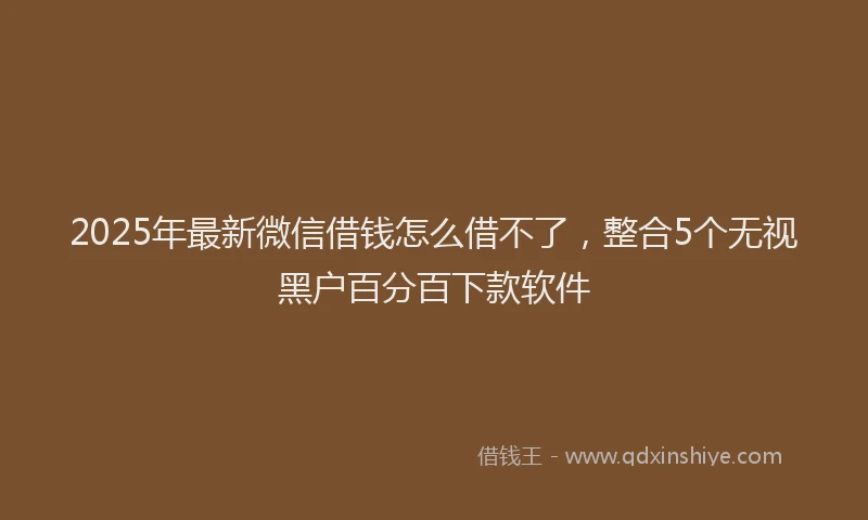2025年最新微信借钱怎么借不了，整合5个无视黑户百分百下款软件