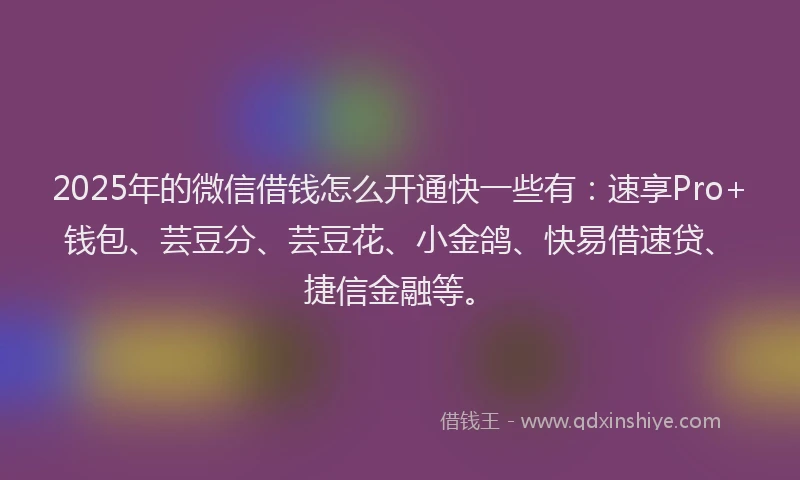 2025年的微信借钱怎么开通快一些有：速享Pro+钱包、芸豆分、芸豆花、小金鸽、快易借速贷、捷信金融等。