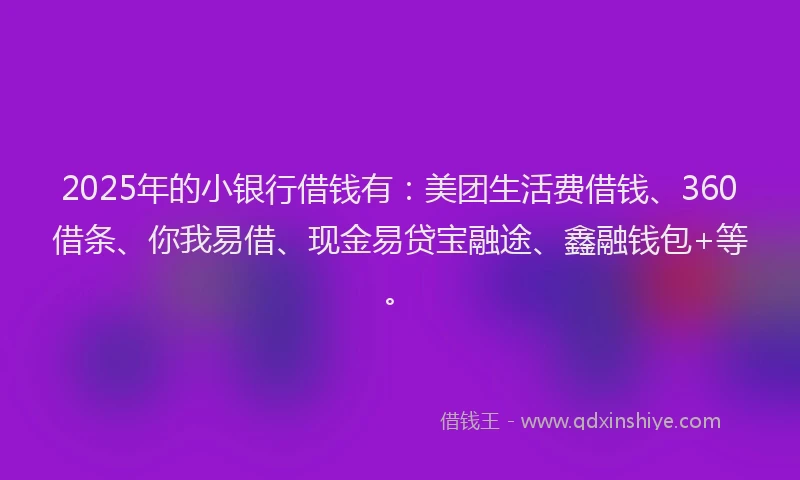 2025年的小银行借钱有：美团生活费借钱、360借条、你我易借、现金易贷宝融途、鑫融钱包+等。