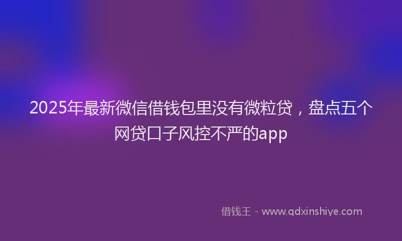 2025年最新微信借钱包里没有微粒贷，盘点五个网贷口子风控不严的app