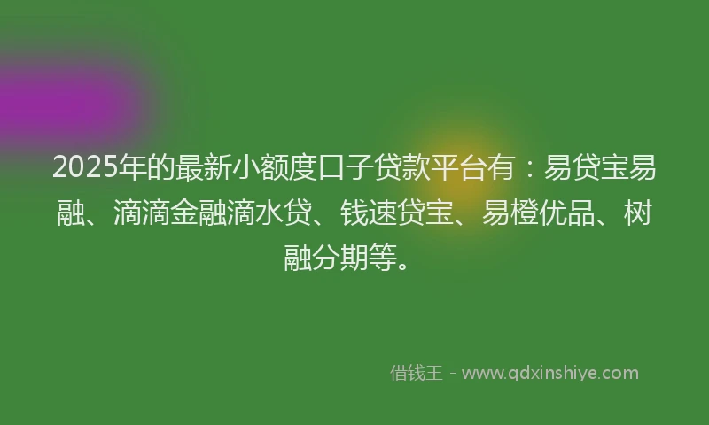 2025年的最新小额度口子贷款平台有：易贷宝易融、滴滴金融滴水贷、钱速贷宝、易橙优品、树融分期等。