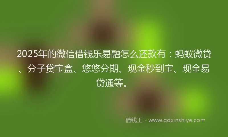 2025年的微信借钱乐易融怎么还款有：蚂蚁微贷、分子贷宝盒、悠悠分期、现金秒到宝、现金易贷通等。