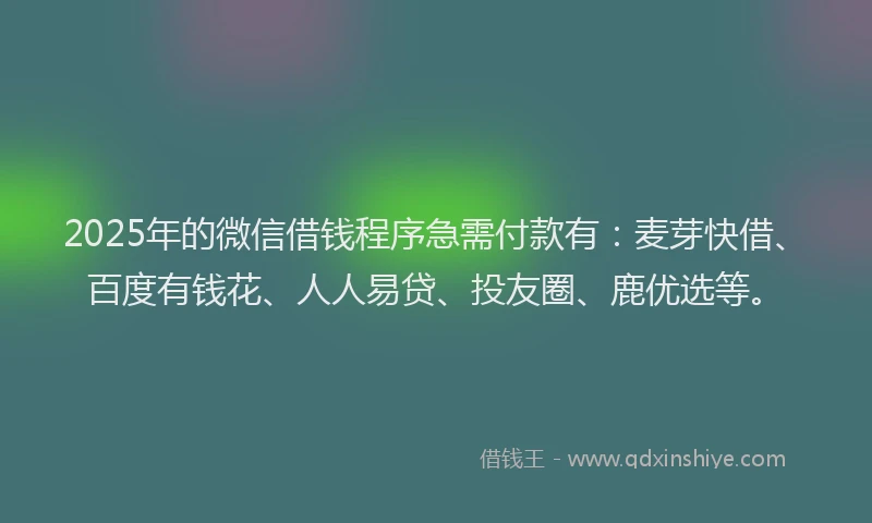 2025年的微信借钱程序急需付款有：麦芽快借、百度有钱花、人人易贷、投友圈、鹿优选等。