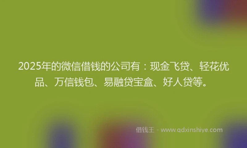 2025年的微信借钱的公司有：现金飞贷、轻花优品、万信钱包、易融贷宝盒、好人贷等。
