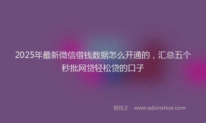 2025年最新微信借钱数据怎么开通的，汇总五个秒批网贷轻松贷的口子