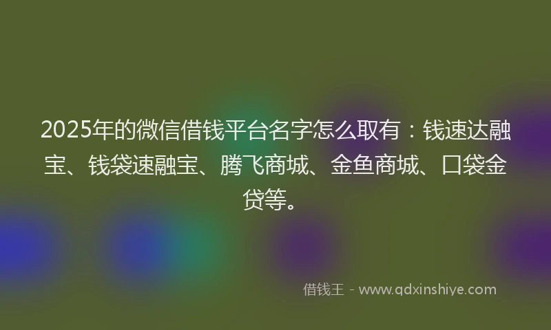 2025年的微信借钱平台名字怎么取有：钱速达融宝、钱袋速融宝、腾飞商城、金鱼商城、口袋金贷等。