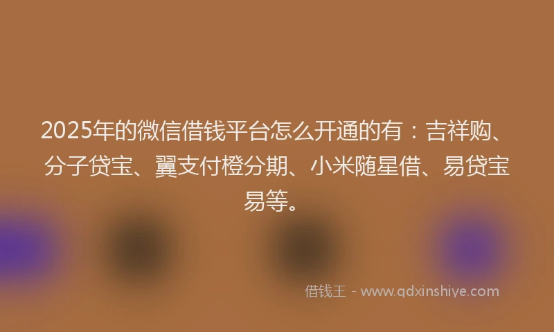2025年的微信借钱平台怎么开通的有：吉祥购、分子贷宝、翼支付橙分期、小米随星借、易贷宝易等。