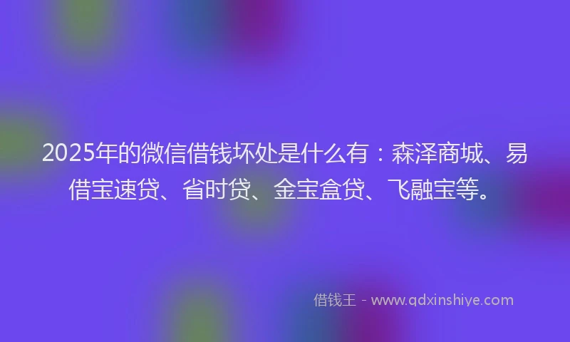 2025年的微信借钱坏处是什么有：森泽商城、易借宝速贷、省时贷、金宝盒贷、飞融宝等。