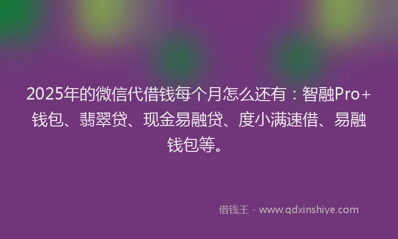 2025年的微信代借钱每个月怎么还有：智融Pro+钱包、翡翠贷、现金易融贷、度小满速借、易融钱包等。