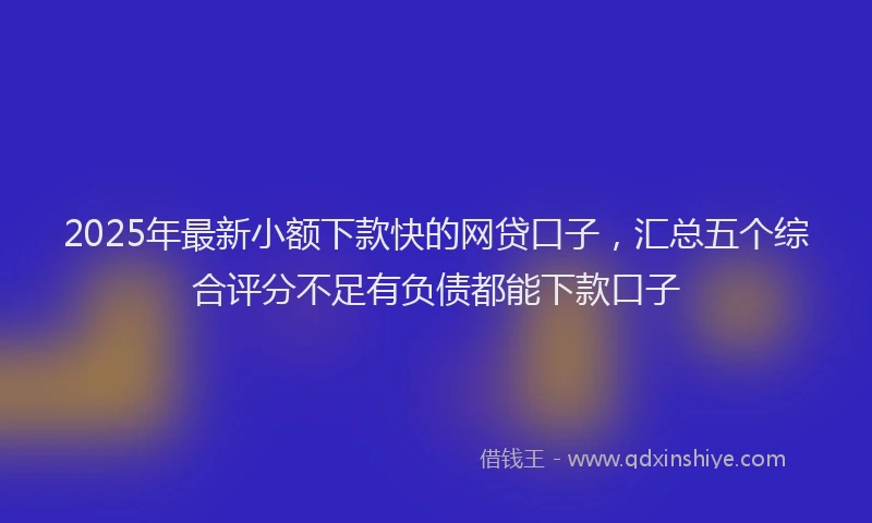 2025年最新小额下款快的网贷口子，汇总五个综合评分不足有负债都能下款口子
