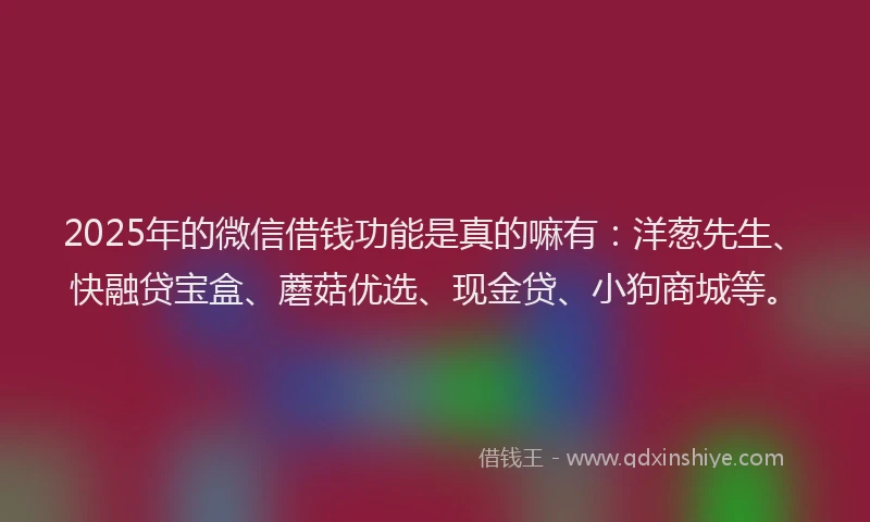 2025年的微信借钱功能是真的嘛有：洋葱先生、快融贷宝盒、蘑菇优选、现金贷、小狗商城等。