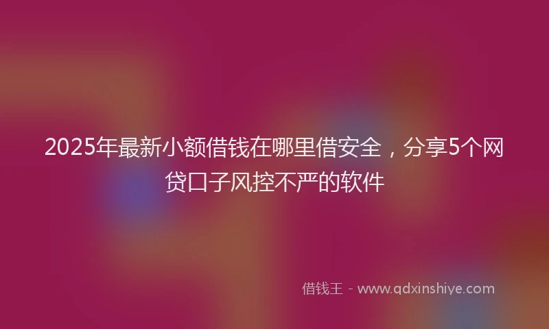 2025年最新小额借钱在哪里借安全，分享5个网贷口子风控不严的软件
