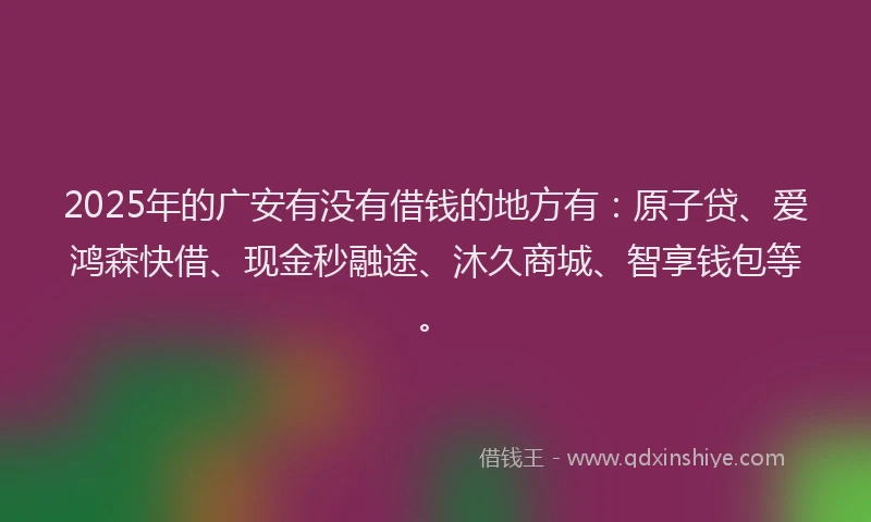 2025年的广安有没有借钱的地方有：原子贷、爱鸿森快借、现金秒融途、沐久商城、智享钱包等。