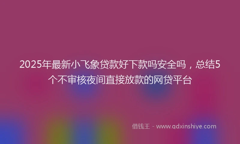 2025年最新小飞象贷款好下款吗安全吗，总结5个不审核夜间直接放款的网贷平台