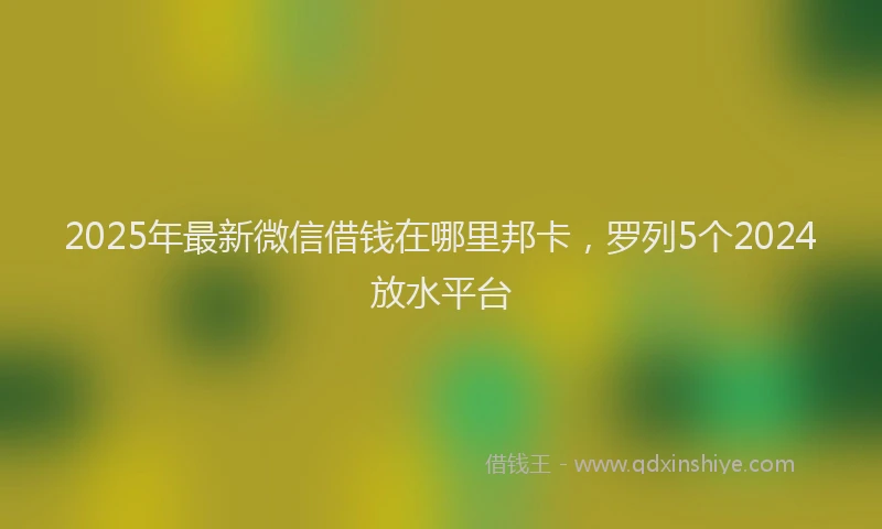 2025年最新微信借钱在哪里邦卡，罗列5个2024放水平台