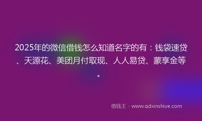 2025年的微信借钱怎么知道名字的有：钱袋速贷、天源花、美团月付取现、人人易贷、蒙享金等。