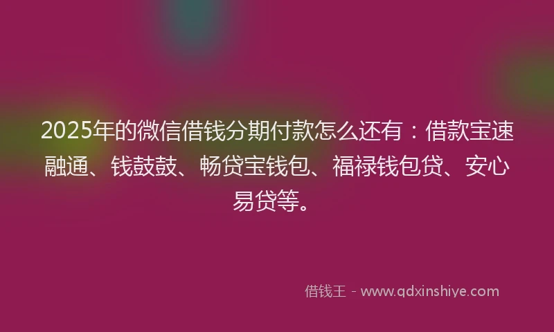 2025年的微信借钱分期付款怎么还有：借款宝速融通、钱鼓鼓、畅贷宝钱包、福禄钱包贷、安心易贷等。