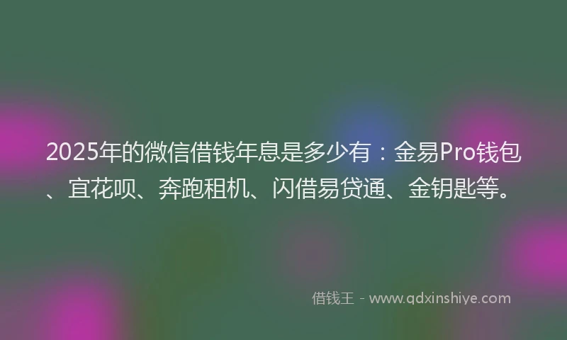 2025年的微信借钱年息是多少有：金易Pro钱包、宜花呗、奔跑租机、闪借易贷通、金钥匙等。
