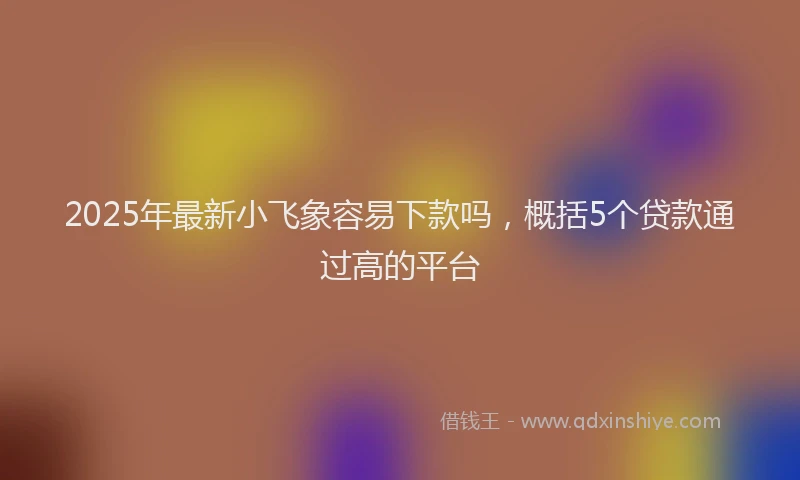 2025年最新小飞象容易下款吗，概括5个贷款通过高的平台