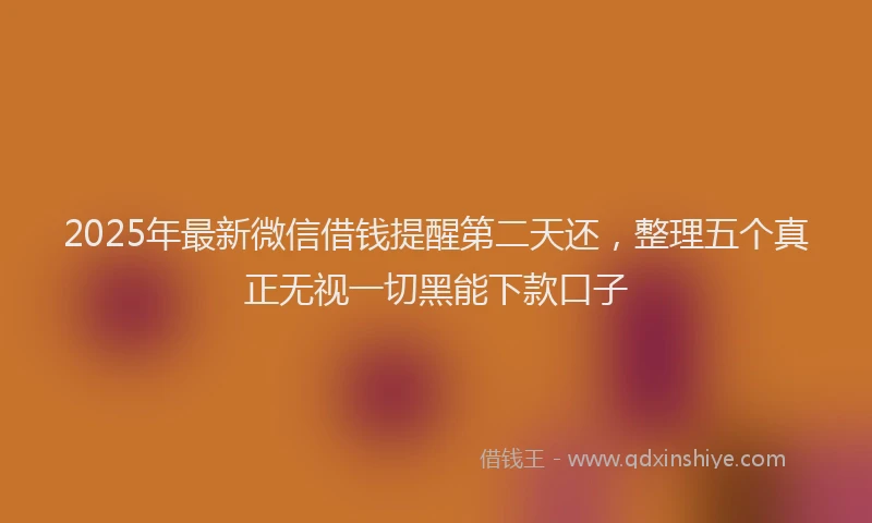 2025年最新微信借钱提醒第二天还，整理五个真正无视一切黑能下款口子