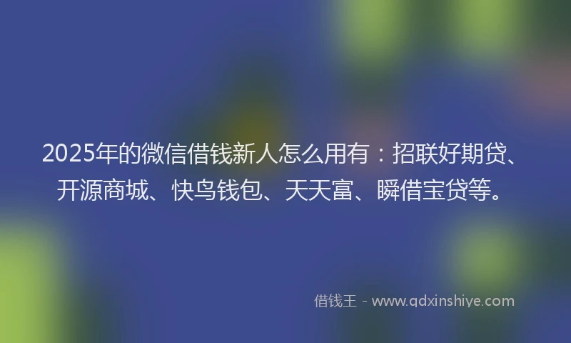 2025年的微信借钱新人怎么用有：招联好期贷、开源商城、快鸟钱包、天天富、瞬借宝贷等。