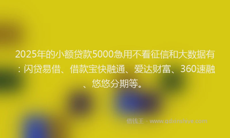 2025年的小额贷款5000急用不看征信和大数据有：闪贷易借、借款宝快融通、爱达财富、360速融、悠悠分期等。
