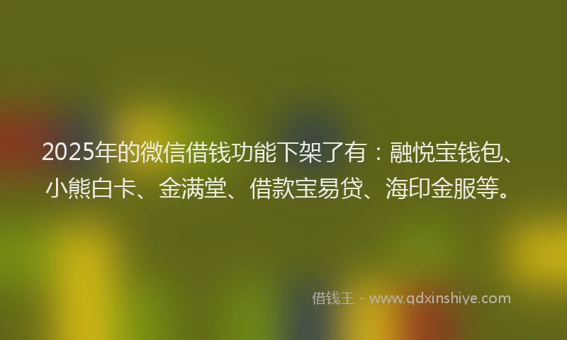 2025年的微信借钱功能下架了有：融悦宝钱包、小熊白卡、金满堂、借款宝易贷、海印金服等。