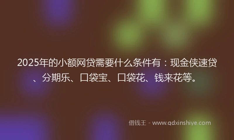 2025年的小额网贷需要什么条件有：现金侠速贷、分期乐、口袋宝、口袋花、钱来花等。