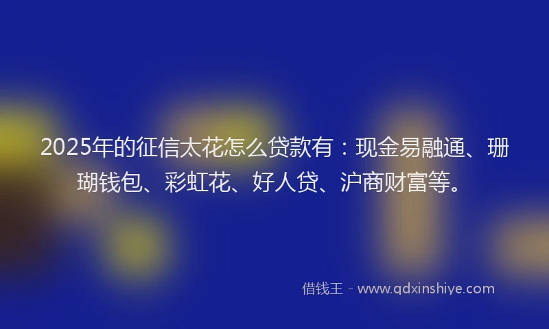 2025年的征信太花怎么贷款有：现金易融通、珊瑚钱包、彩虹花、好人贷、沪商财富等。