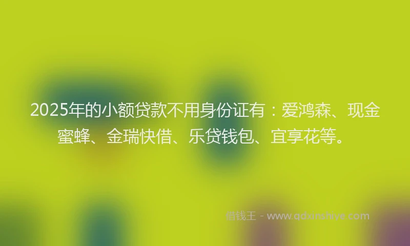 2025年的小额贷款不用身份证有：爱鸿森、现金蜜蜂、金瑞快借、乐贷钱包、宜享花等。