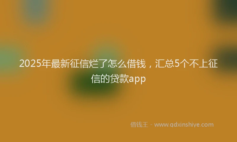 2025年最新征信烂了怎么借钱，汇总5个不上征信的贷款app