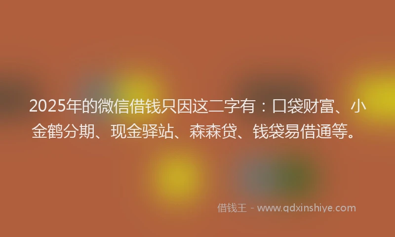 2025年的微信借钱只因这二字有：口袋财富、小金鹤分期、现金驿站、森森贷、钱袋易借通等。