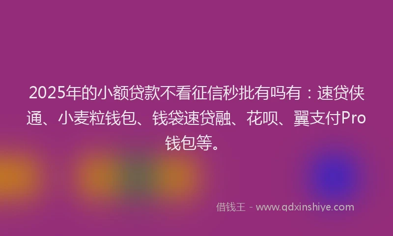 2025年的小额贷款不看征信秒批有吗有：速贷侠通、小麦粒钱包、钱袋速贷融、花呗、翼支付Pro钱包等。