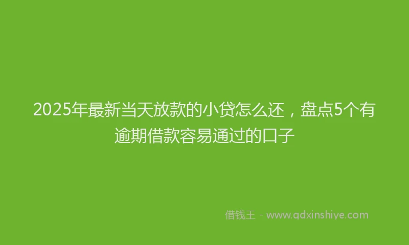 2025年最新当天放款的小贷怎么还，盘点5个有逾期借款容易通过的口子
