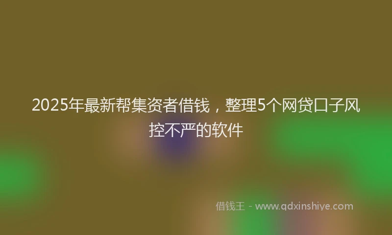 2025年最新帮集资者借钱，整理5个网贷口子风控不严的软件