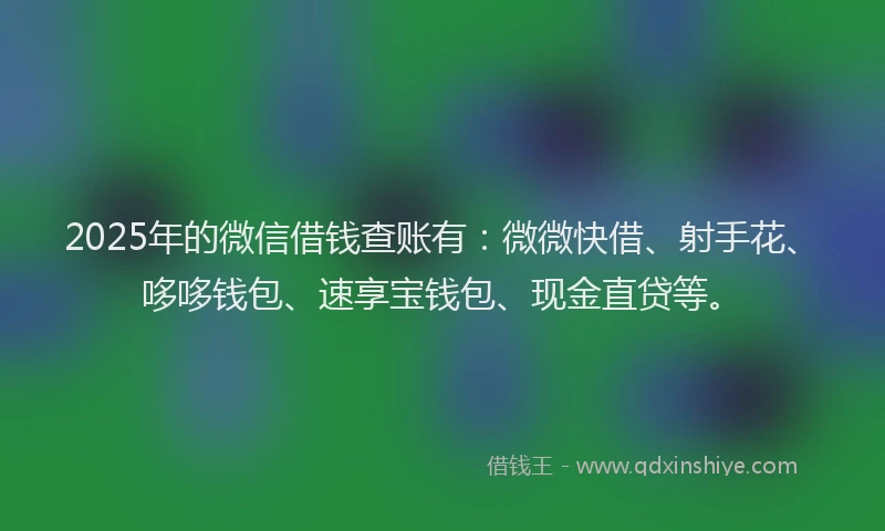 2025年的微信借钱查账有：微微快借、射手花、哆哆钱包、速享宝钱包、现金直贷等。