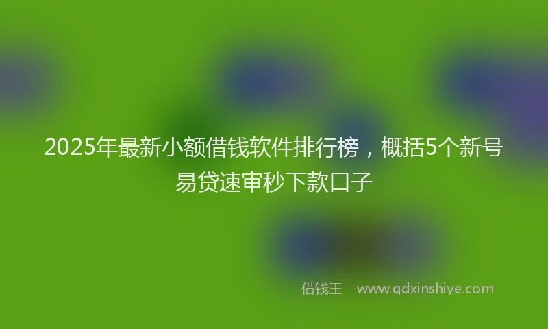 2025年最新小额借钱软件排行榜，概括5个新号易贷速审秒下款口子