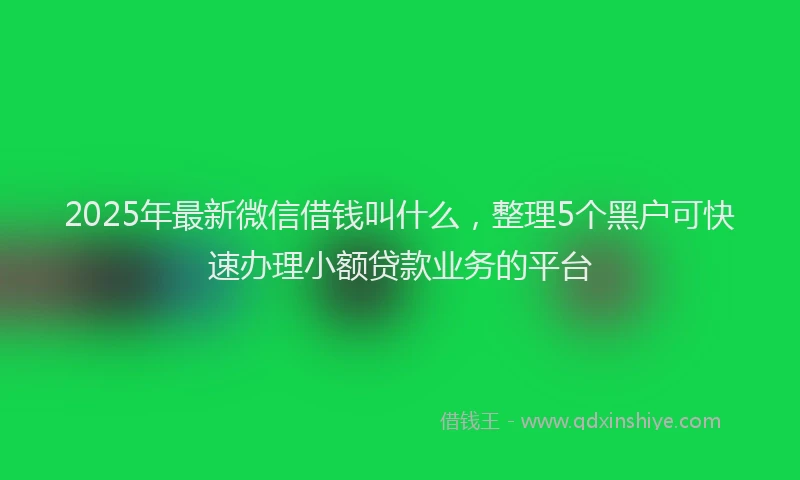 2025年最新微信借钱叫什么，整理5个黑户可快速办理小额贷款业务的平台