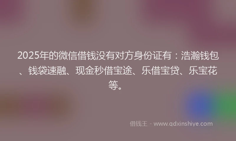 2025年的微信借钱没有对方身份证有：浩瀚钱包、钱袋速融、现金秒借宝途、乐借宝贷、乐宝花等。