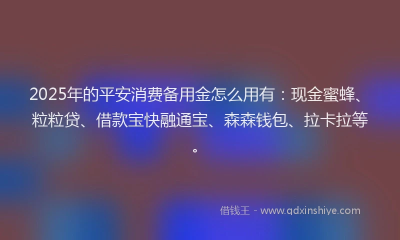 2025年的平安消费备用金怎么用有：现金蜜蜂、粒粒贷、借款宝快融通宝、森森钱包、拉卡拉等。