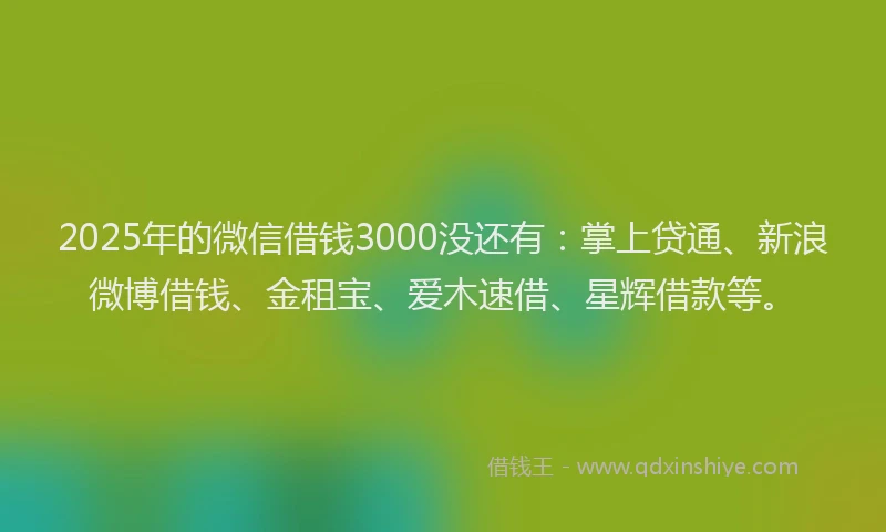 2025年的微信借钱3000没还有：掌上贷通、新浪微博借钱、金租宝、爱木速借、星辉借款等。