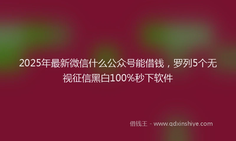 2025年最新微信什么公众号能借钱，罗列5个无视征信黑白100%秒下软件