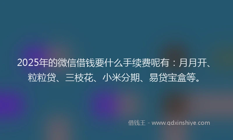 2025年的微信借钱要什么手续费呢有：月月开、粒粒贷、三枝花、小米分期、易贷宝盒等。