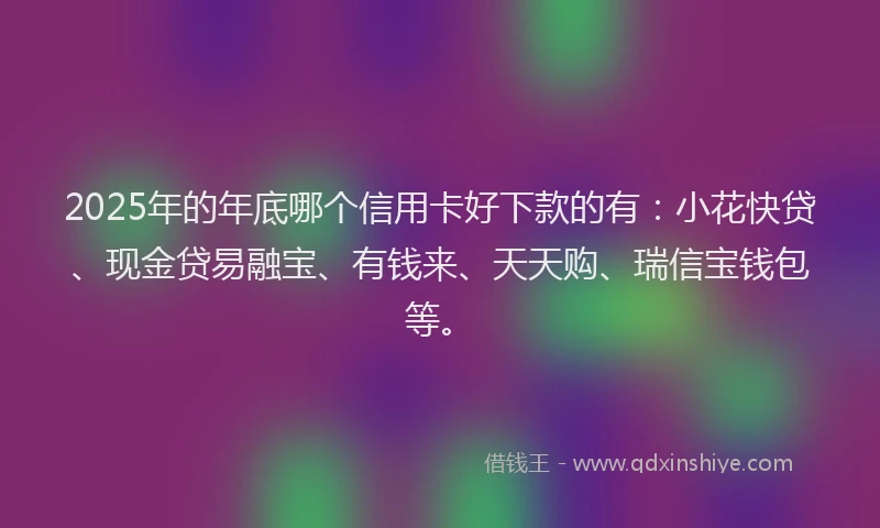 2025年的年底哪个信用卡好下款的有：小花快贷、现金贷易融宝、有钱来、天天购、瑞信宝钱包等。