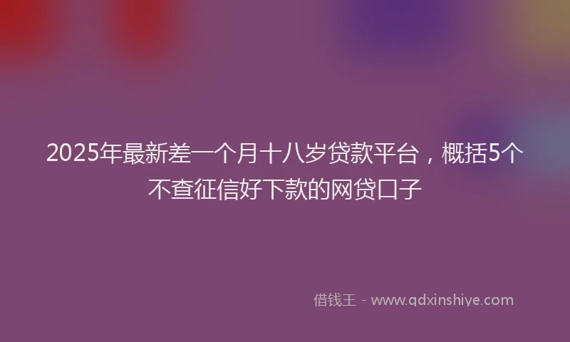 2025年最新差一个月十八岁贷款平台，概括5个不查征信好下款的网贷口子