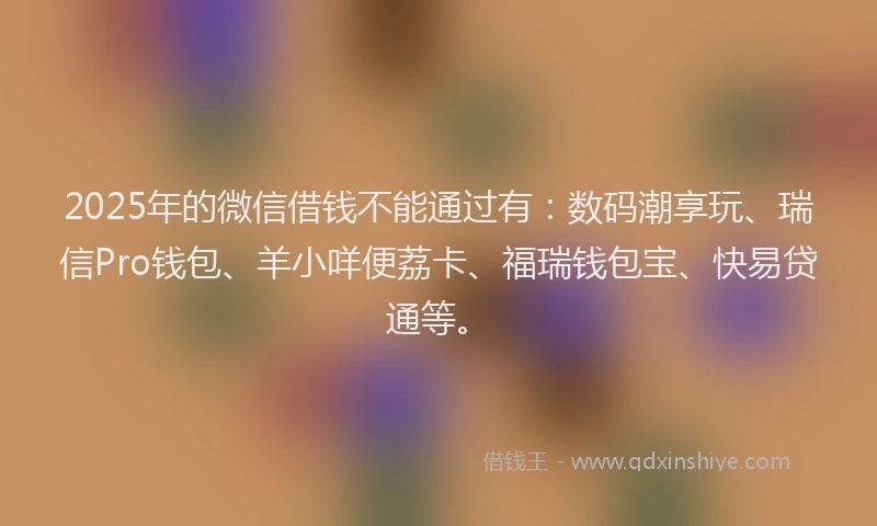 2025年的微信借钱不能通过有：数码潮享玩、瑞信Pro钱包、羊小咩便荔卡、福瑞钱包宝、快易贷通等。