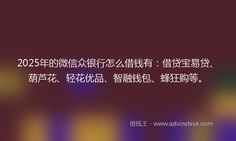 2025年的微信众银行怎么借钱有：借贷宝易贷、葫芦花、轻花优品、智融钱包、蜂狂购等。