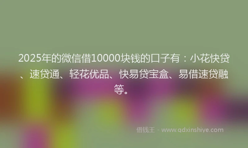 2025年的微信借10000块钱的口子有：小花快贷、速贷通、轻花优品、快易贷宝盒、易借速贷融等。