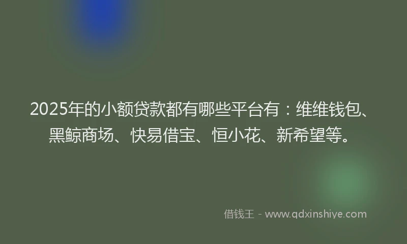2025年的小额贷款都有哪些平台有：维维钱包、黑鲸商场、快易借宝、恒小花、新希望等。