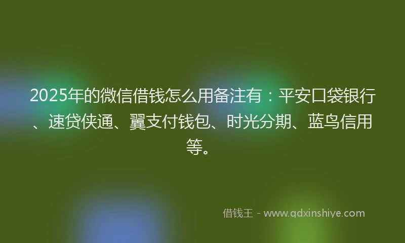 2025年的微信借钱怎么用备注有：平安口袋银行、速贷侠通、翼支付钱包、时光分期、蓝鸟信用等。